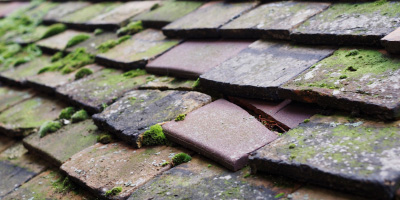 Handy Cross roof repair costs
